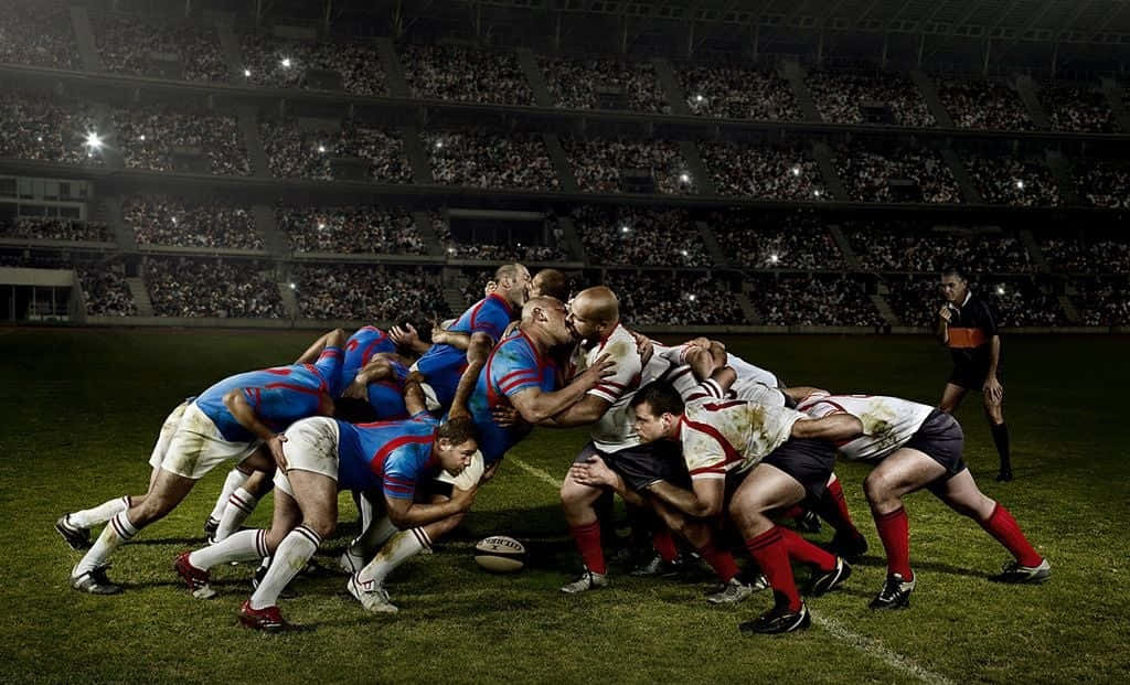 Live sports betting interface